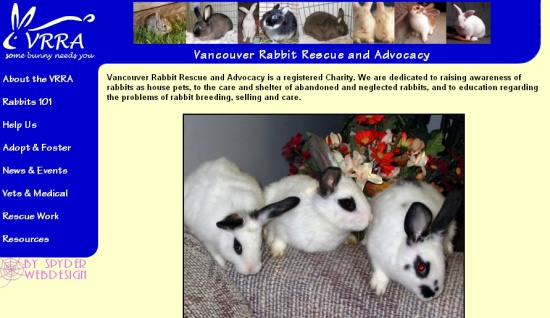 [after] March 2004 version